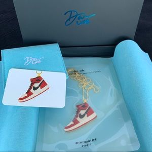 The Dan Life The Iced Chicago 2.0